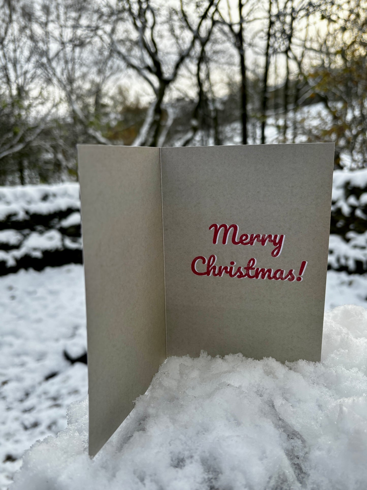 Hand-written, direct to recipient Christmas Card |Retro Cat's Christmas